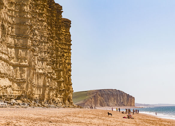 Picture of West Bay fossil hunters on a Dorset school trip